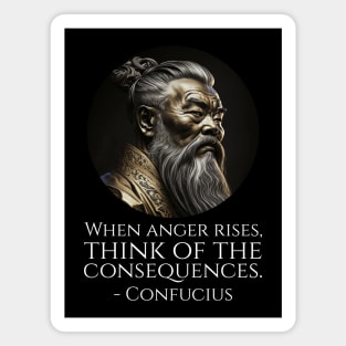 When anger rises, think of the consequences. - Confucius Magnet